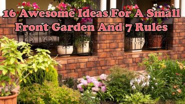 16 Awesome Ideas For A Small Front Garden And 7 Rules